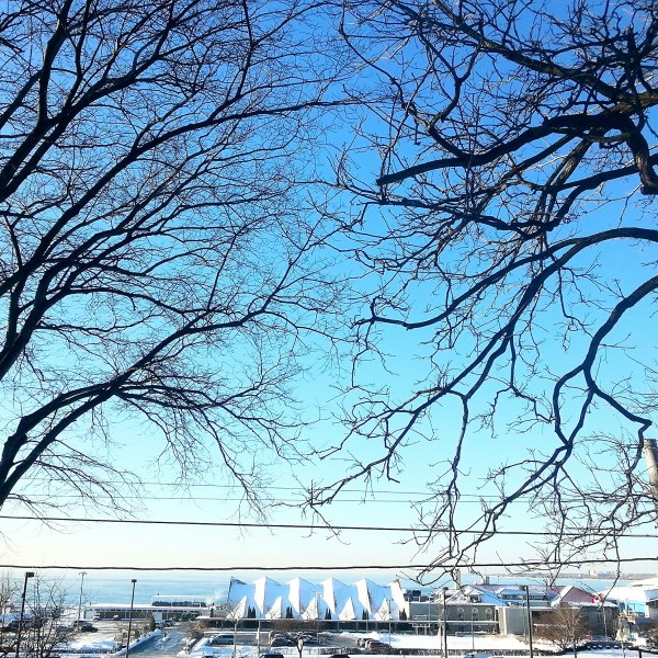 Lake Ontario, beyond the Gardiner